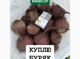 Зображення для оголошення Куплю Буряк ОПТ Україна Борщ Набор