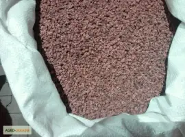 Зображення для оголошення Продам семена столового Буряка Опольский