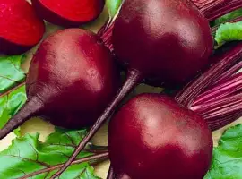 Зображення для оголошення Куплю Буряк красный оптом