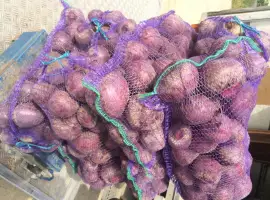 Зображення для оголошення Продам свеклу