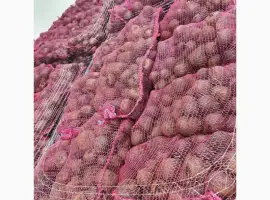 Зображення для оголошення Продам буряк
