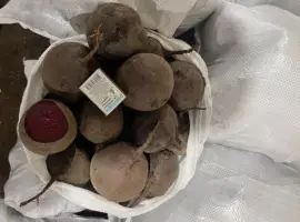 Зображення для оголошення Продам буряк