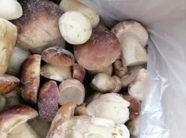 Зображення для оголошення Продам білі гриби морожені