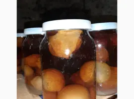 Зображення для оголошення Продам гриб Веселка(Панна)