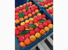 Зображення для оголошення Продам мандарини та лімони від поставщика з 5 тонн