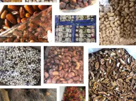 Зображення для оголошення Продам горіхи усіх видів та сухофрукти усіх видів