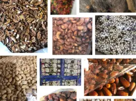 Зображення для оголошення Продам усі види горіхів та сухофруктів