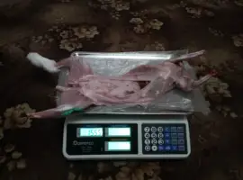 Зображення для оголошення Продам мясо кролика. Кролятина. Тушка кролика