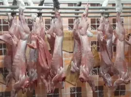 Зображення для оголошення Продам тушку кролика
