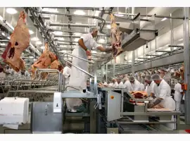 Линия по переработке мяса крупного рогатого скота