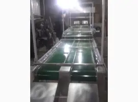 Зображення для оголошення Інспеційний стіл двухрівневий для сортування грецького горіхів
