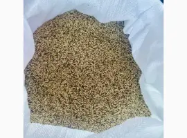 Зображення для оголошення Продам конореечное просо корм для попугаев и конореек