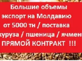 Зображення для оголошення ЭКСПОРТ на Молдову = Пшеница = Ячмень = Кукуруза