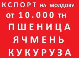 Зображення для оголошення ЗЕРНОВЫЕ на Молдову = Пшеница = Ячмень