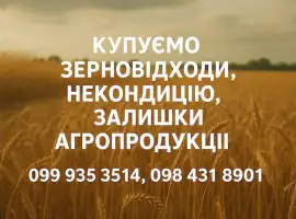 Зображення для оголошення Закупівля некондиційного зерна та агровідходів по всій Україні