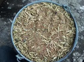 Зображення для оголошення Куплю зернові