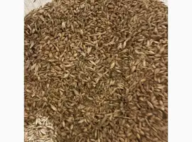Зображення для оголошення Куплю зерновідходи