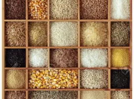 Зображення для оголошення Закупаем зерновые и масличные культуры любого качества