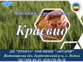 Зображення для оголошення Насіння озимої пшениці Краєвид (БН