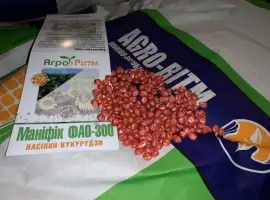 Насіння кукурудзи гібрид Маніфік ФАО 300