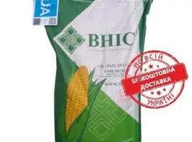 Насіння кукурудзи гібрид ПАРАДІЗ (ФАО 270)