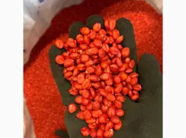 Кукурудза гібрид ФАБРІС ФАО 280