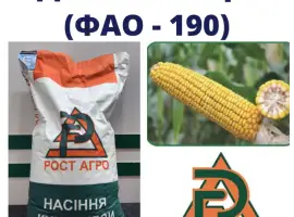 Насіння кукурудзи ДН Синевир (ФАО 190) Рост Агро