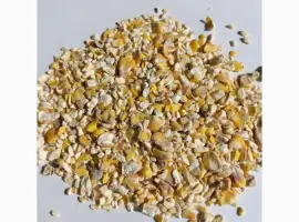 Продається Кукурудза подрібнена / Львівська область