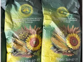 Кукурудза ДН Пивиха