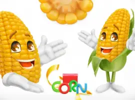 Куплю кукурузу НАЛ/БН