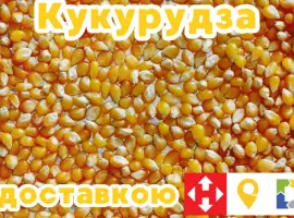Продам кукурудзу