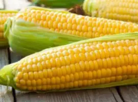 Куплю проблемну кукурудзу