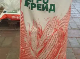 Насіння Кукурудзи ДБ Хотин ФАО-280