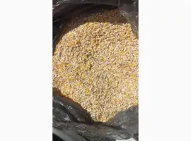 Зображення для оголошення Підприємство купує побічний продукт обо зерновідходи кукурудзи