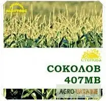 Продам семена кукурузы Соколов 407 МВ