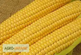 Кукуруза дробленая