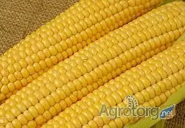 Кукуруза дробленая