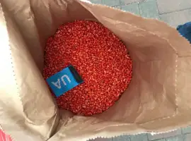 Семена кукурузы