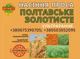 Зображення для оголошення Насіння просо