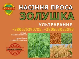 Зображення для оголошення Насіння просо