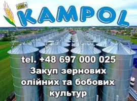 Зображення для оголошення Просо куплю