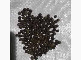 Зображення для оголошення Вика яра насіння