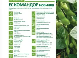 Зображення для оголошення Пропонуємо насіння сої ЕС Командор (СН-1) Без ГМО