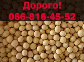 Зображення для оголошення Закуповую за найвищими цінами СОЮ