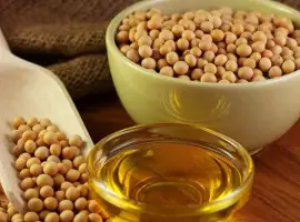Зображення для оголошення Купую СОЮ крупним оптом для переробки (ГМО та без ГМО)