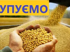Зображення для оголошення Закупаем сою постоянно самовывоз расчет на весах. НЕКОНДИЦИЯ