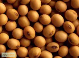 Зображення для оголошення Куплю сою и отходы половынки самовывоз