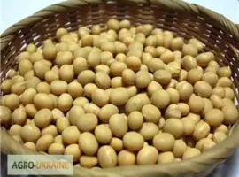 Зображення для оголошення Закупаем сою