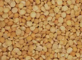 Зображення для оголошення Купуємо сою (половинки)