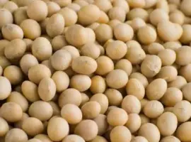 Зображення для оголошення Куплю сою та половинки сої